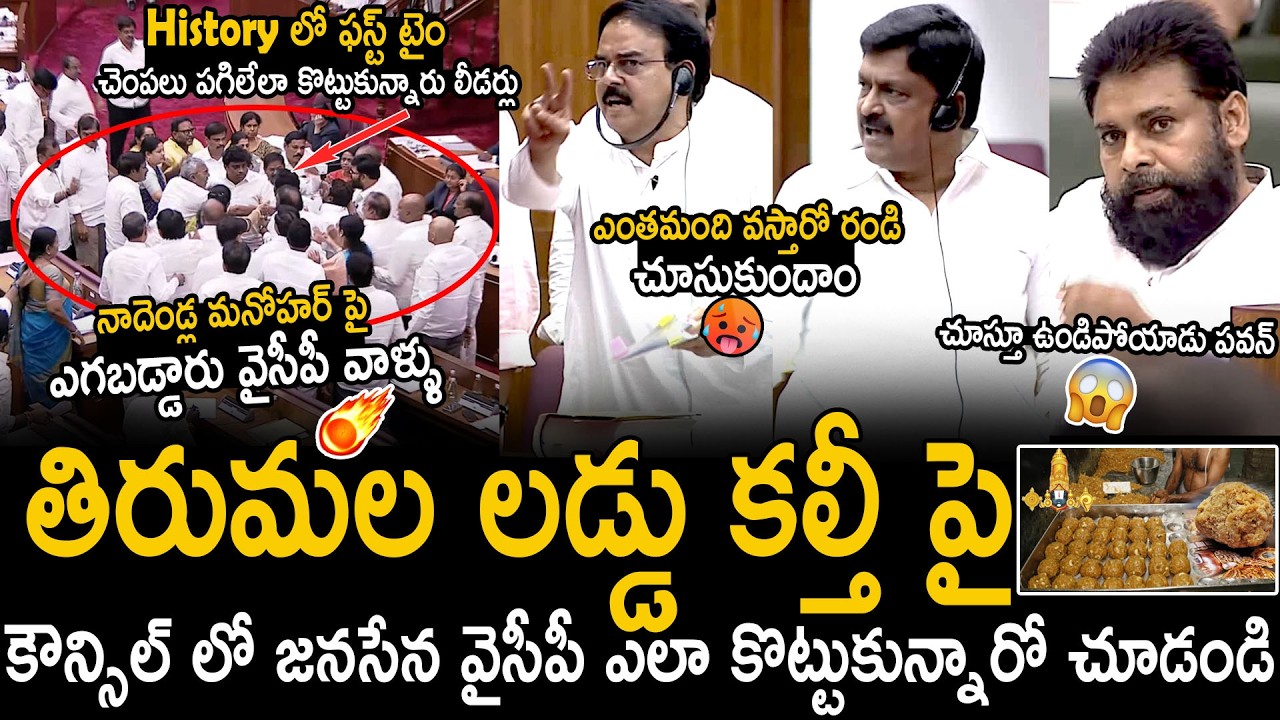 In The History First Time Janasena TDP And YCP Members Fight In Legislative Council | Bhairava Media