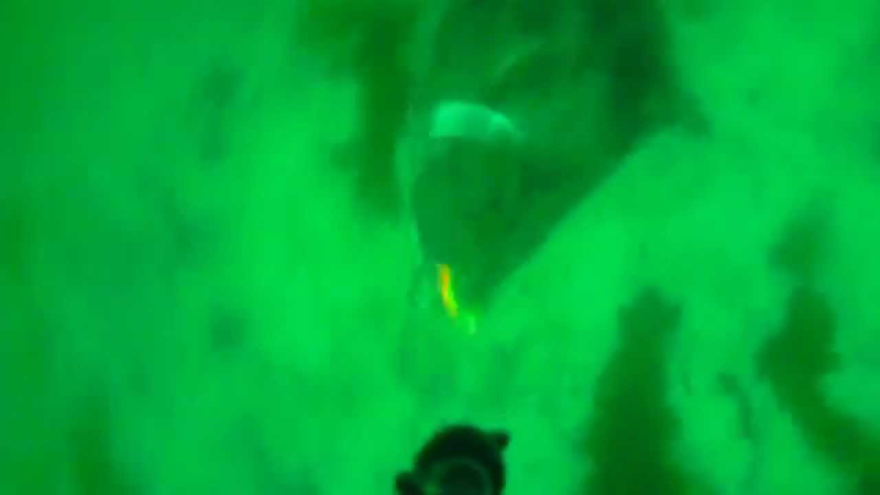 Kveite 46.2 kg. Water Wolf Camera