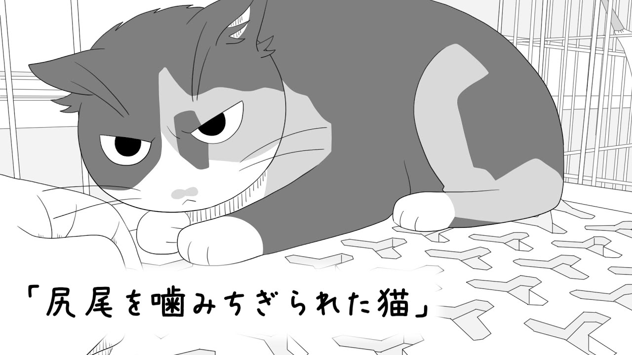 尻尾を噛みちぎられた猫【猫の絵本】