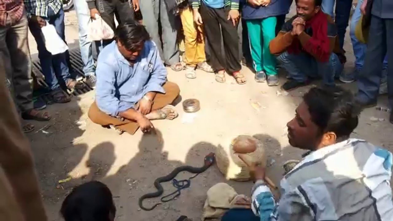 indian magic show and comedy from road side