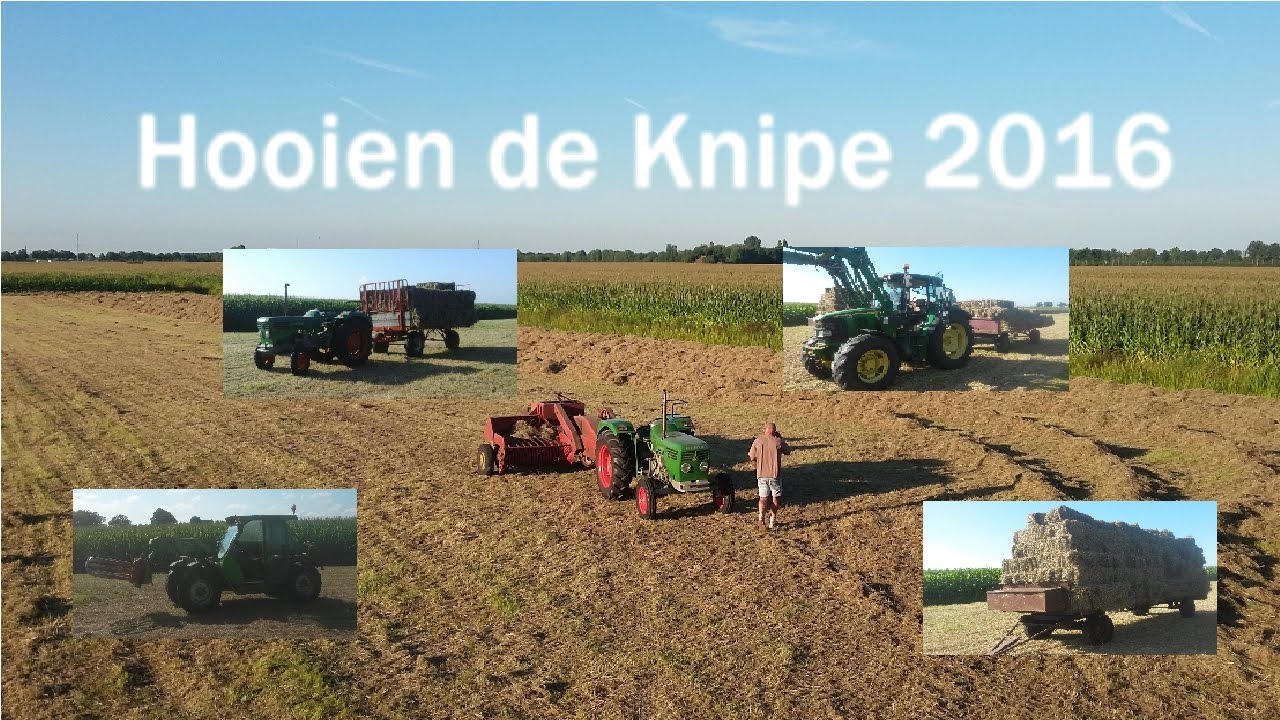 Hooien de Knipe 2016