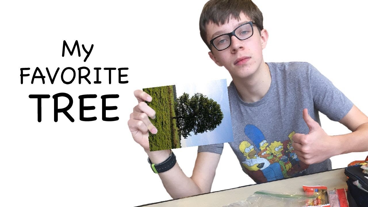 My Favorite Tree