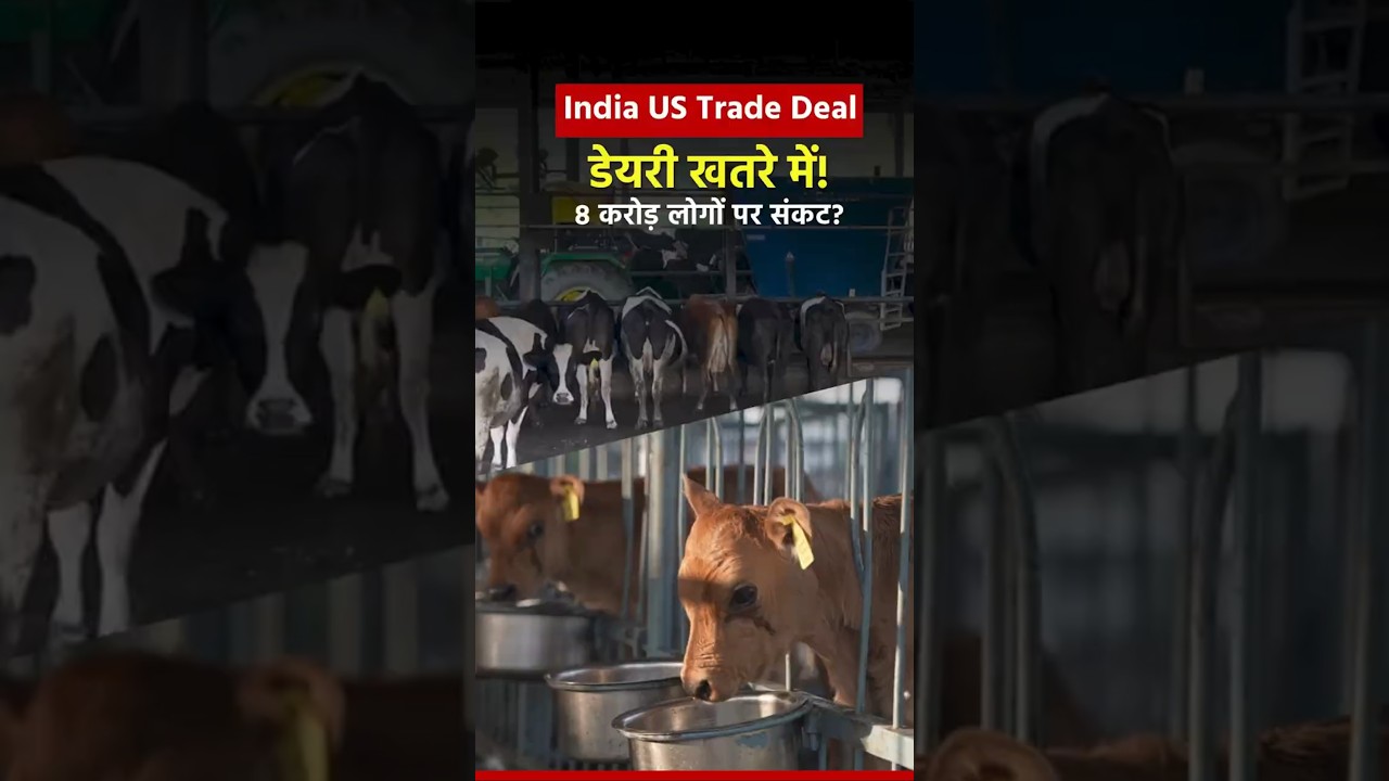 How US farm imports can hurt Indian Farmer's and Dairy Sector? #indiausrelations #tradedeal