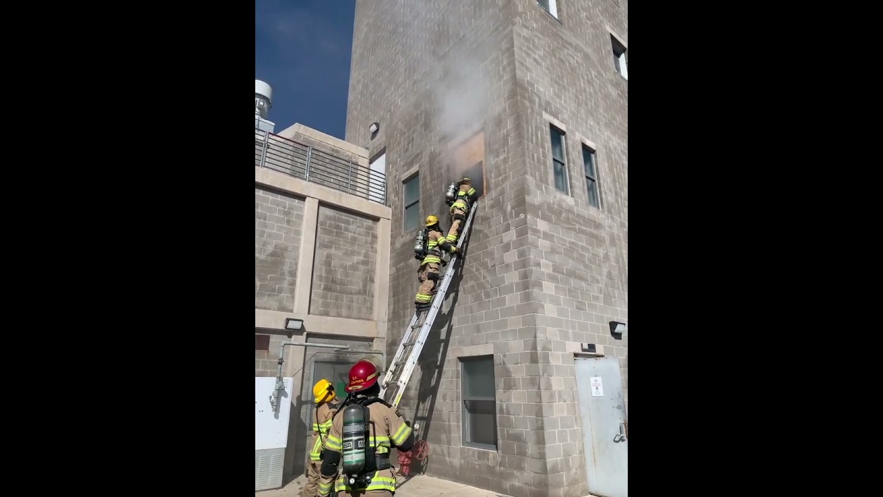 VEIS training