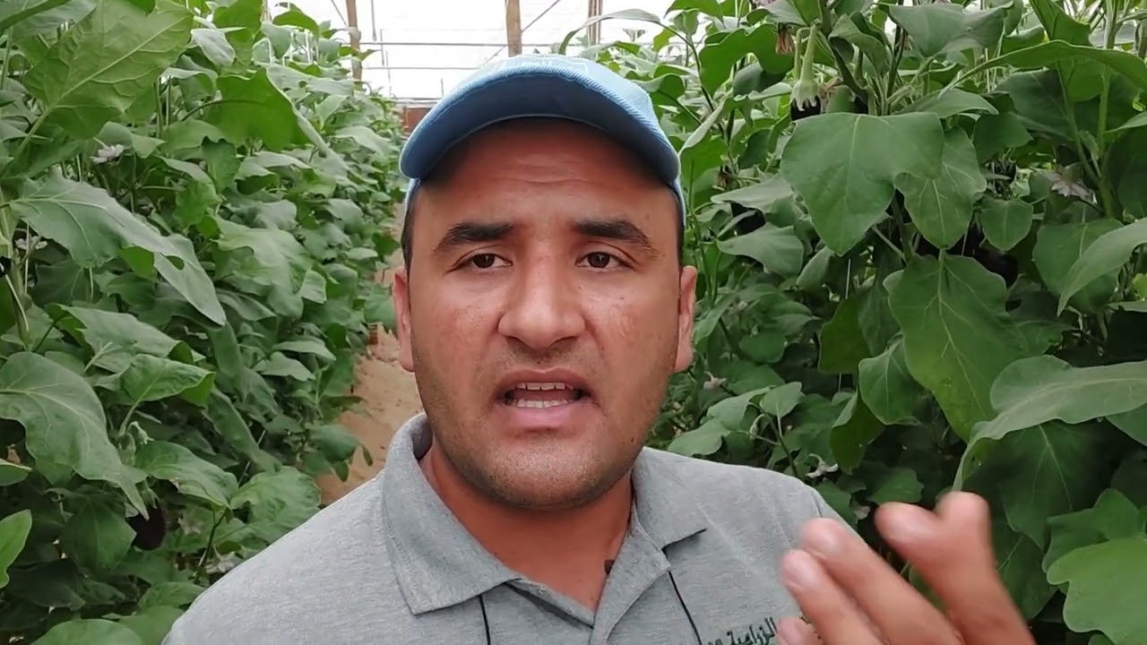 سؤال مهم لحديث التخرج ابدأ منين وإزاى ؟؟