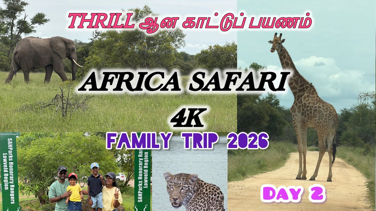 தமிழில்:Real African Safari🔥Live WildLife🔥❤️Lions,Elephants,Zebra & More!