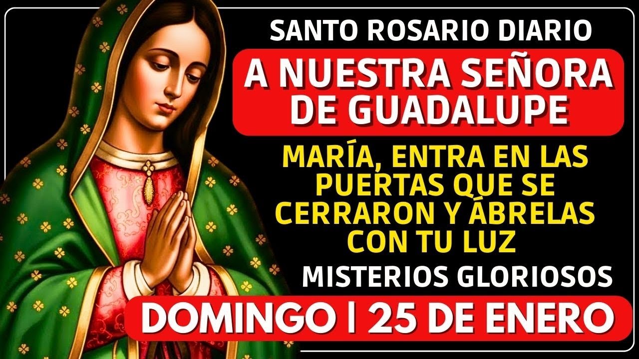 María, ILUMINA EL CAMINO que la vida me cerró | SANTO ROSARIO DE HOY 25 DE ENERO
