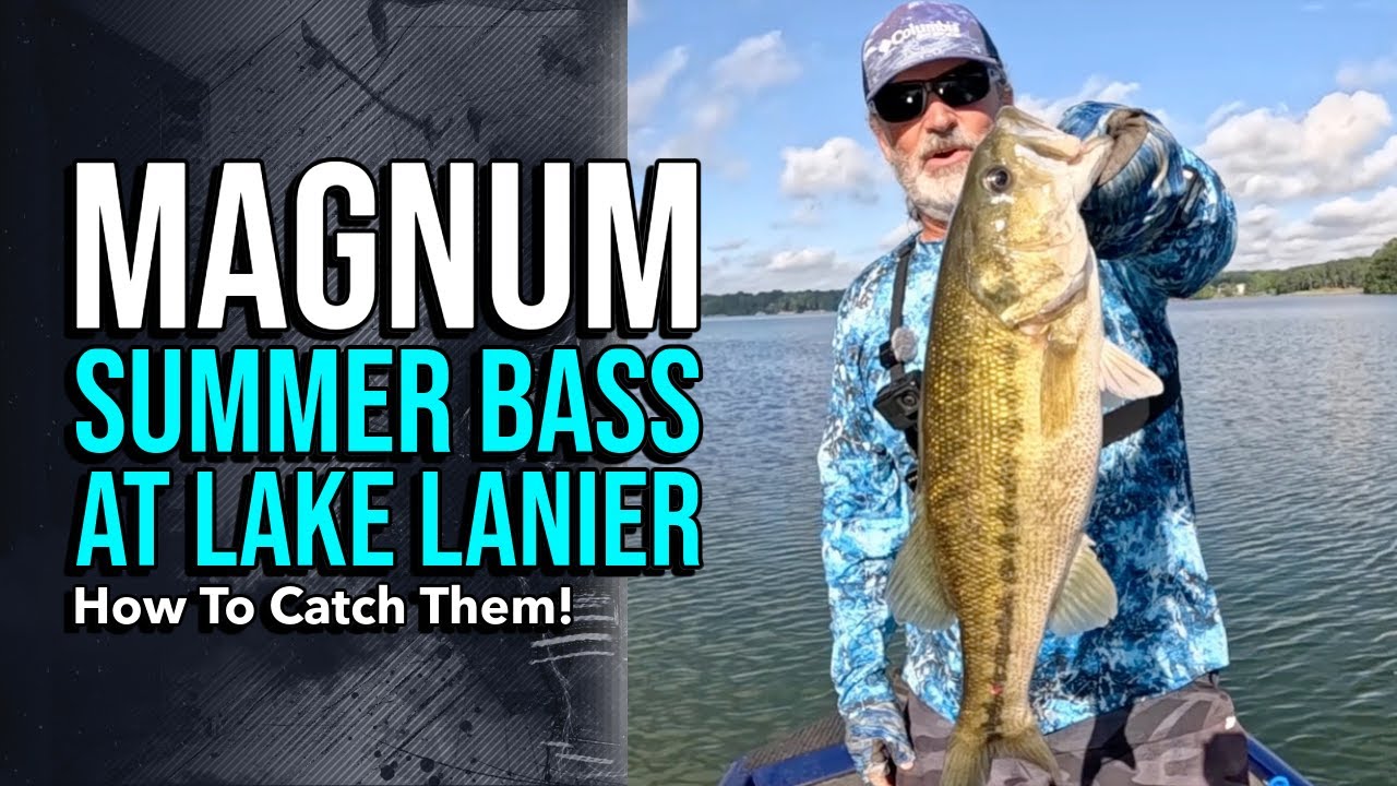 Magnum Summer Bass At Lake Lanier - How To Catch Them!