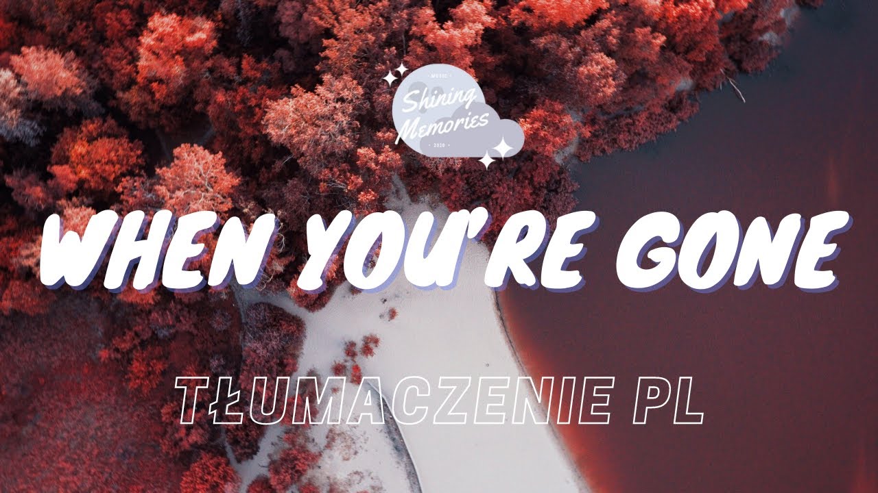 Shawn Mendes - When You’re Gone || TŁUMACZENIE PL