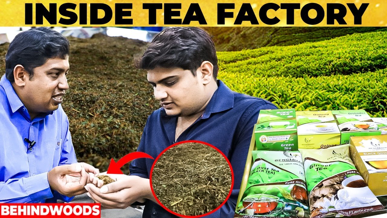 25 Varitey, ஒரு Factory-ல இத்தனை வகை Tea-யா 😳 வீட்டையே கடையா மாத்தலாம் - Benchmark Tea Factory
