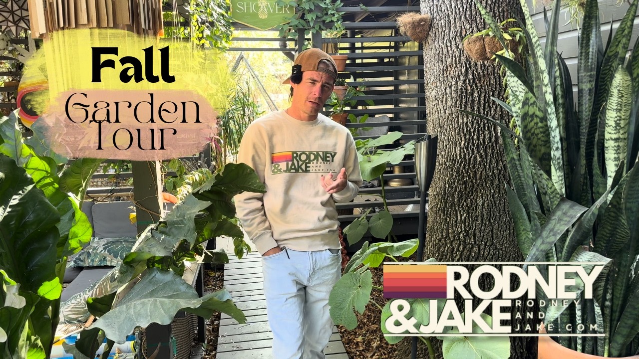 Late Fall Garden Tour Vlog - Everything is grown in!