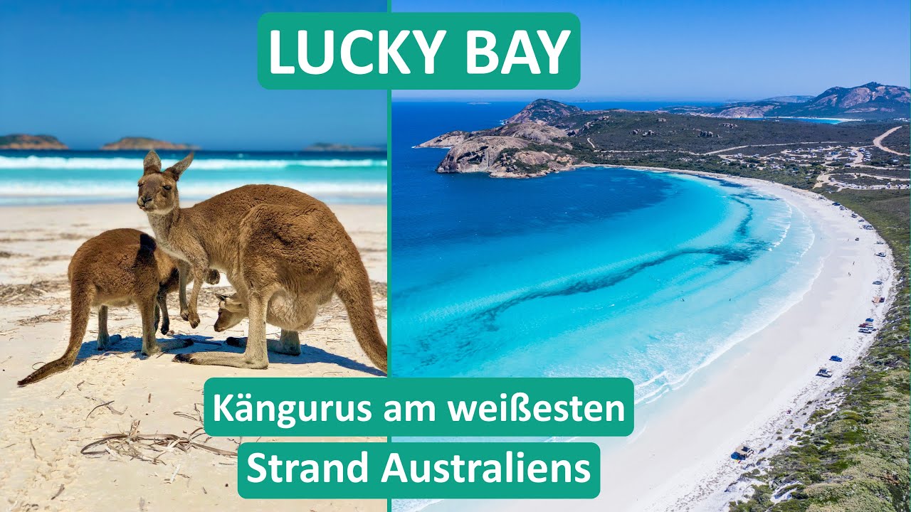 Lucky Bay | Cape Le Grand NP ● K&auml;ngurus am wei&szlig;en Traumstrand in Australien ● Weltreise Vlog #032