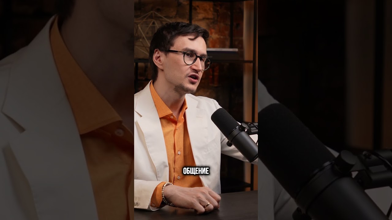 История Энн Шайбер