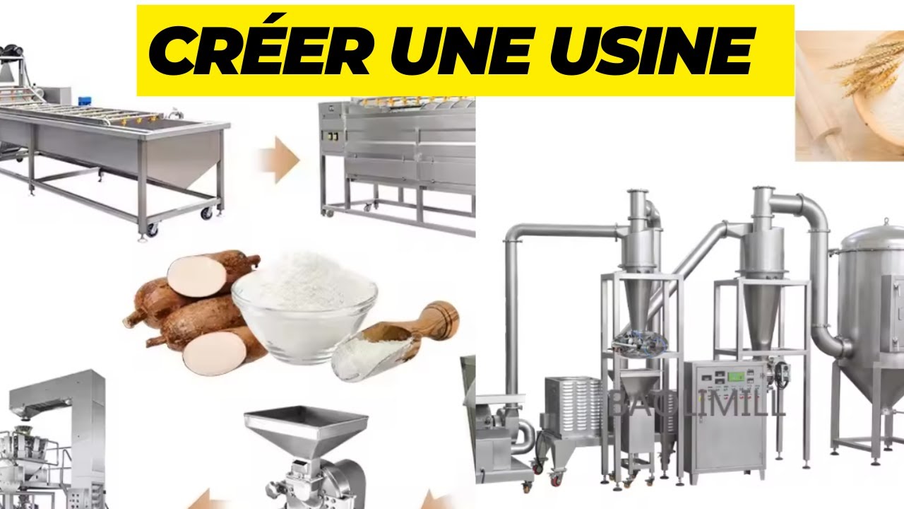 Business du manioc : étapes clés, machines nécessaires et profits d’une usine de transformation