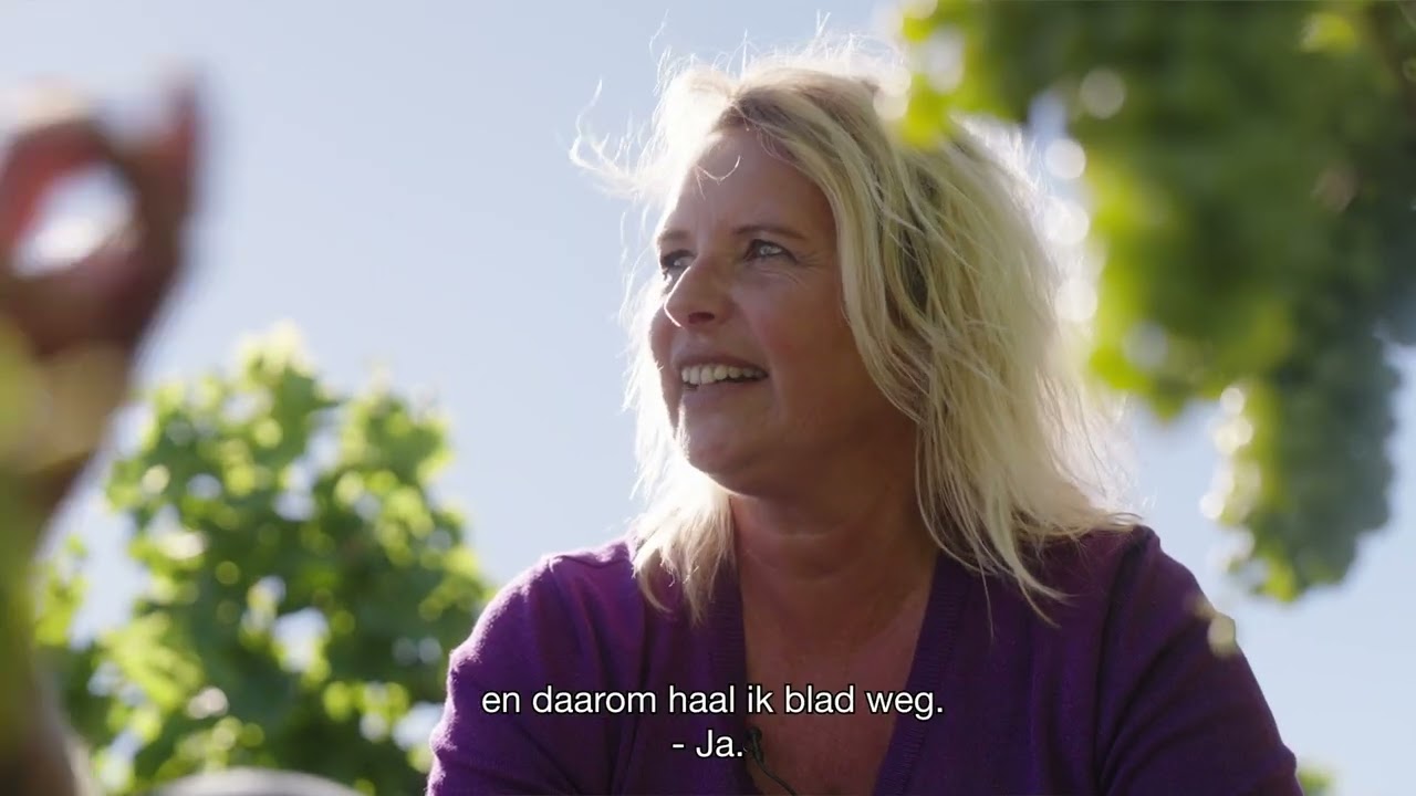 Wijngoed Wilgenhorst