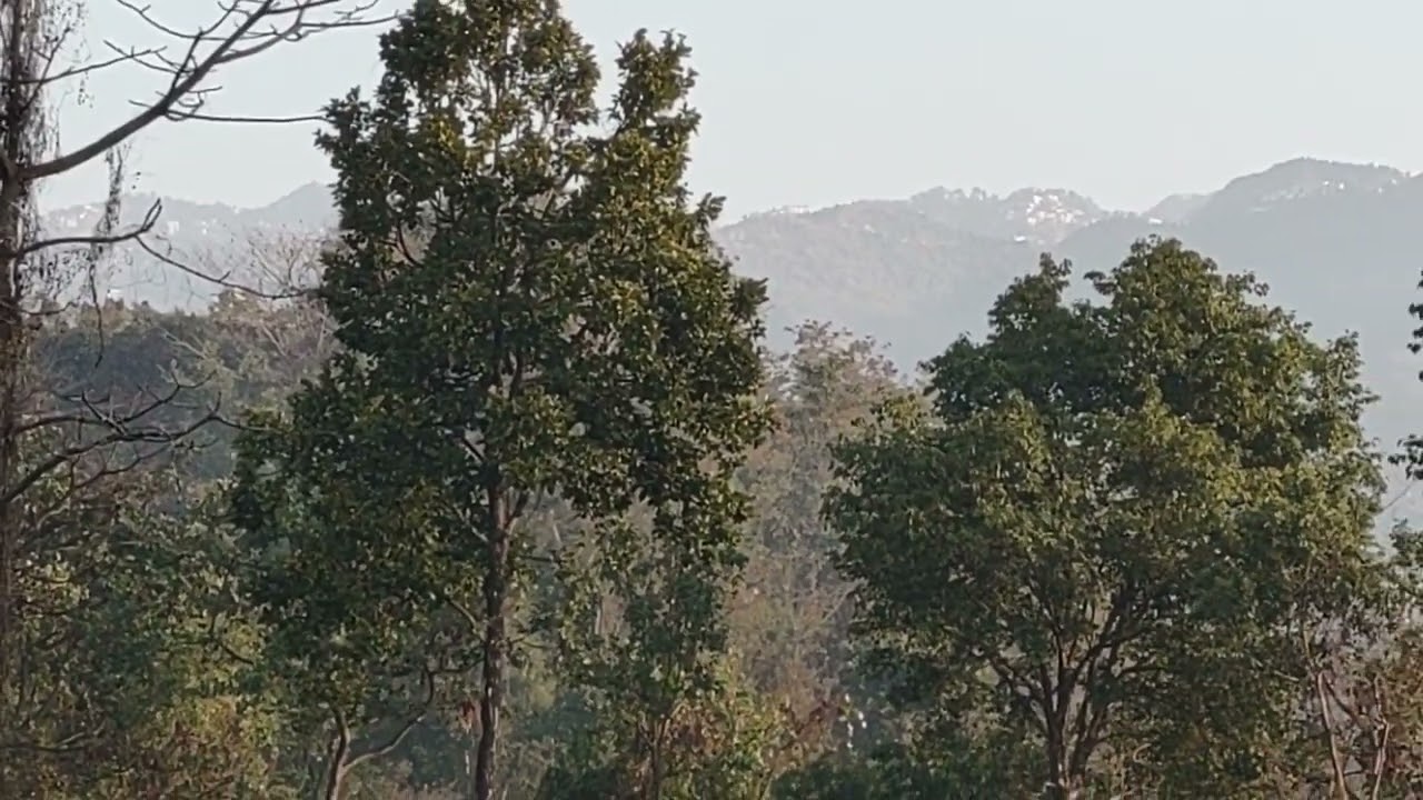 R3 land for sale in sinaula near Mussoorie road near Max hospital,8630318047 Vicky kasana