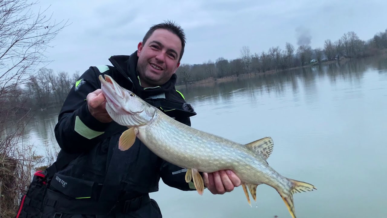 Pêche du bord en fleuve : Sandres et Brochet aux leurres souples
