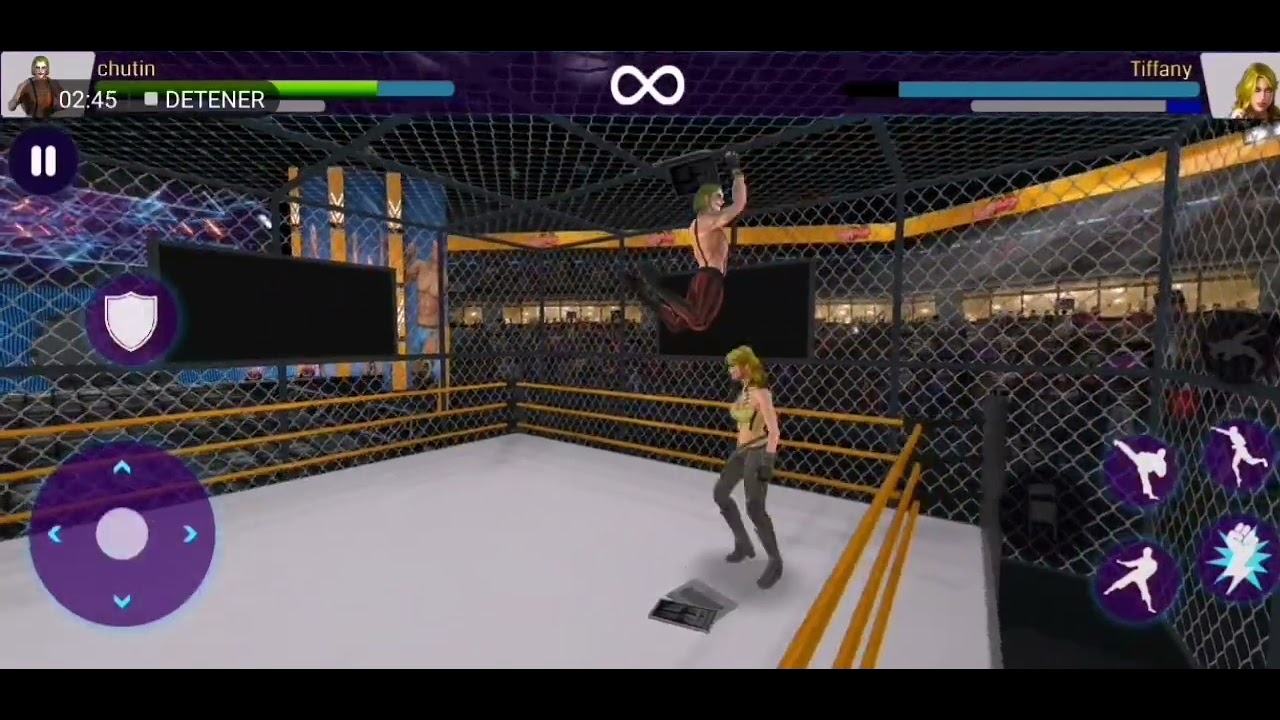 tag team wrestling 