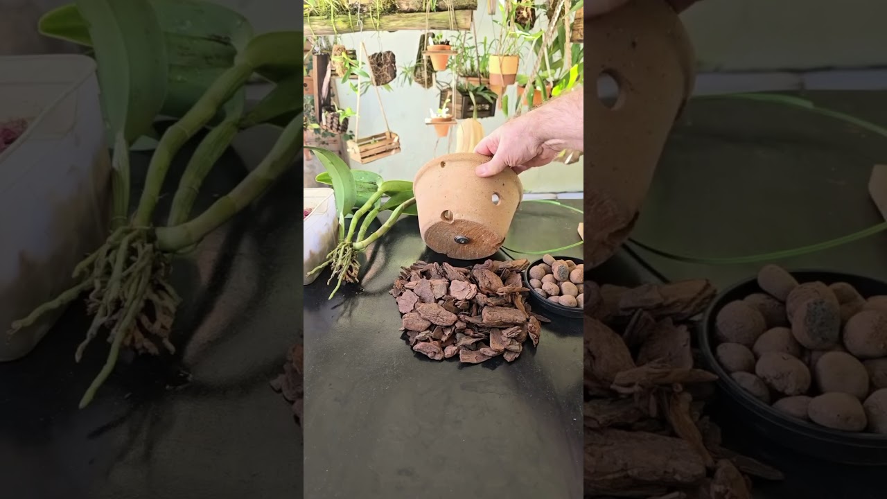 C&oacute;mo hacer un arreglo de orqu&iacute;deas para decorar tu hogar
