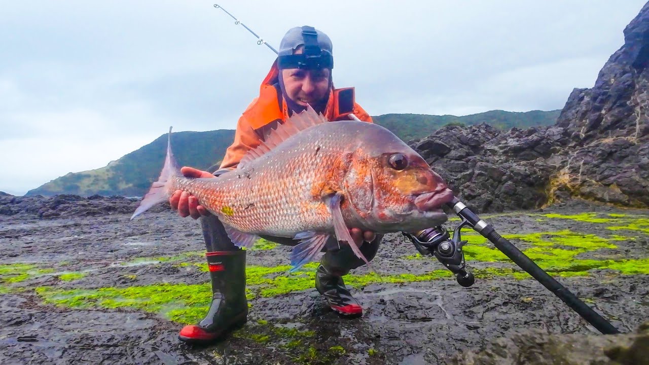 В этом месте всегда водится крупный люциан | Рыбалка с ночёвкой
