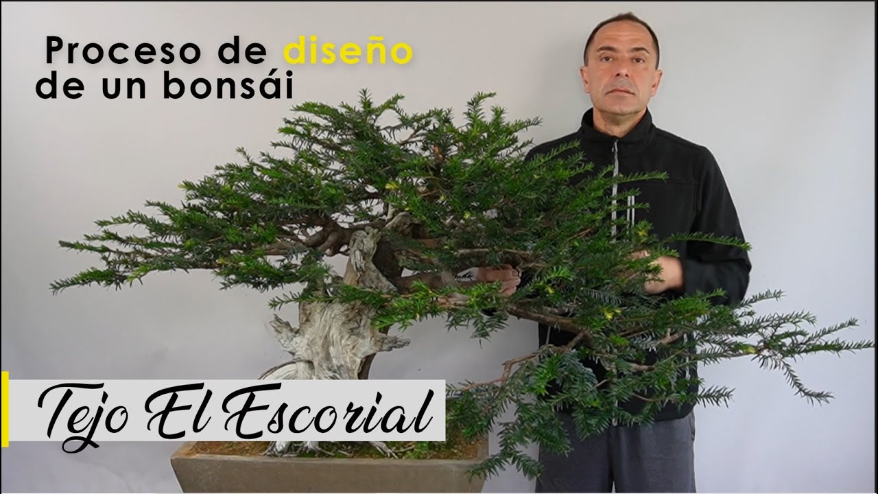TEJO EL ESCORIAL