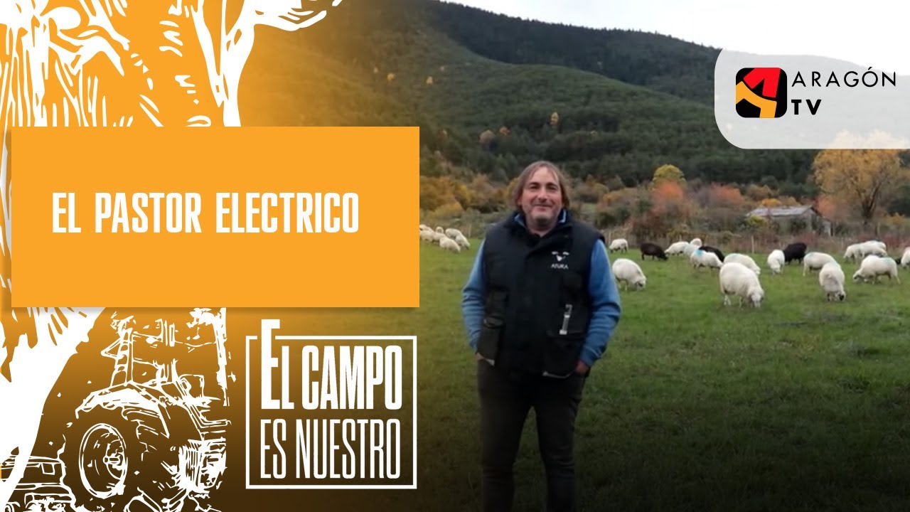 La importancia del pastor eléctrico en el mundo de la ganadería