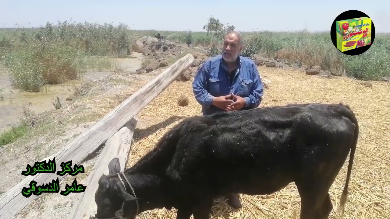 جميع المعلومات عن مرض اللتهاب الجلد العقدي   المسبب للمرض والاعراض والعلاج والوقايه من المرص