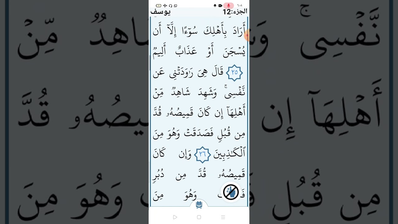 سورة يوسف صفحة (٢٣٨)
