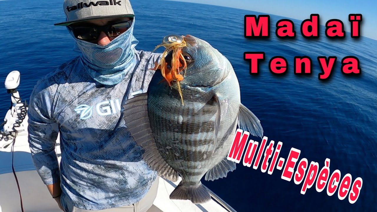 Pêche Tenya Madaï Multi-Espèces