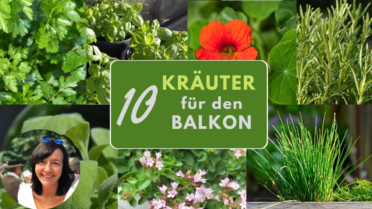 10 Kräuter Klassiker für den Balkon - die beliebtesten Kräuter für Töpfe und Balkonkästen