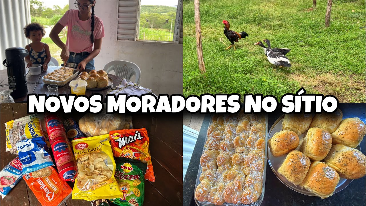 VIDA SIMPLES NA ROÇA/ FIZ PÃO CASEIRO E NOVOS MORADORES NO SÍTIO 