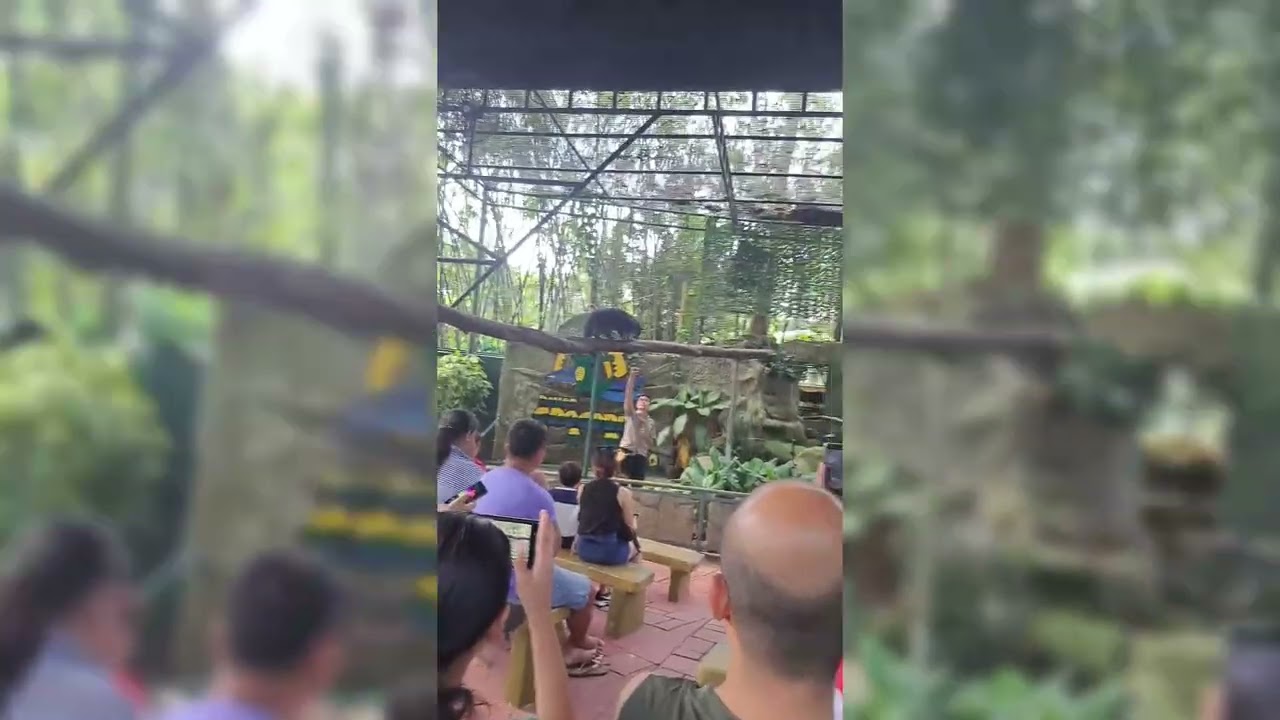 Crocodile park in davao city