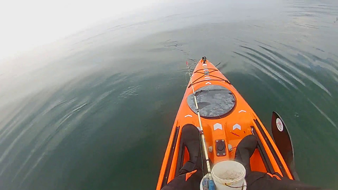 Oxwich Tope #3 25/6/2019