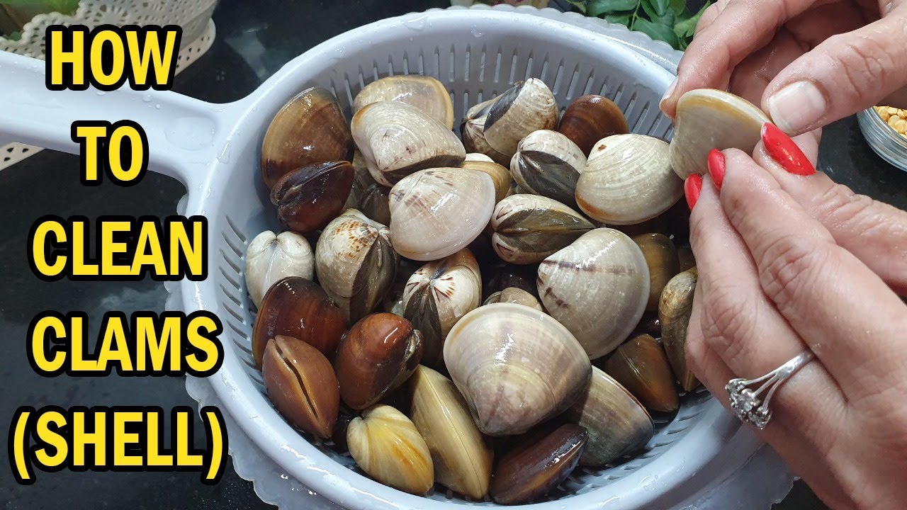 How to Clean & Open Clam Before Cooking | 2 Ways to Clean Shells/Clams | क्लैम कैसे साफ करें?