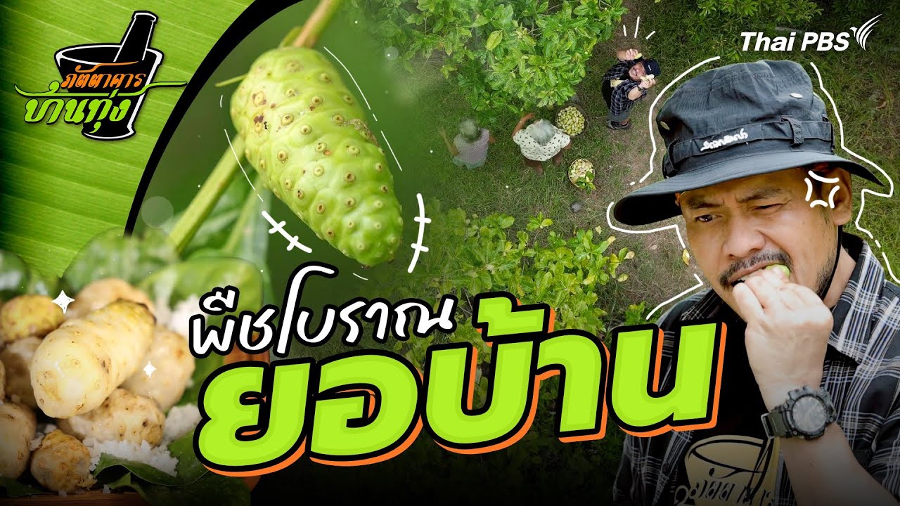 ยอบ้าน | ภัตตาคารบ้านทุ่ง