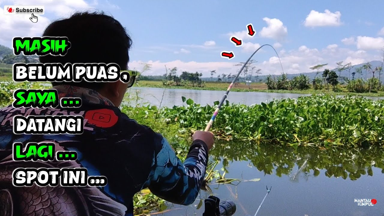 Saya Datangi Lagi Spot Ini Karena Belum Puas | Mancing Ikan Nila Liar Ngantang Terbaru 2026