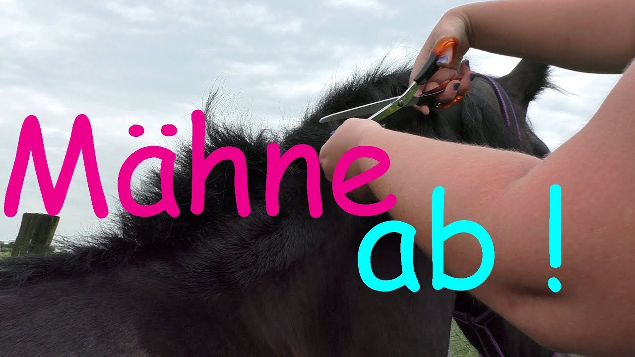 M&auml;hne ab! | Rilanka bekommt eine Stehm&auml;hne