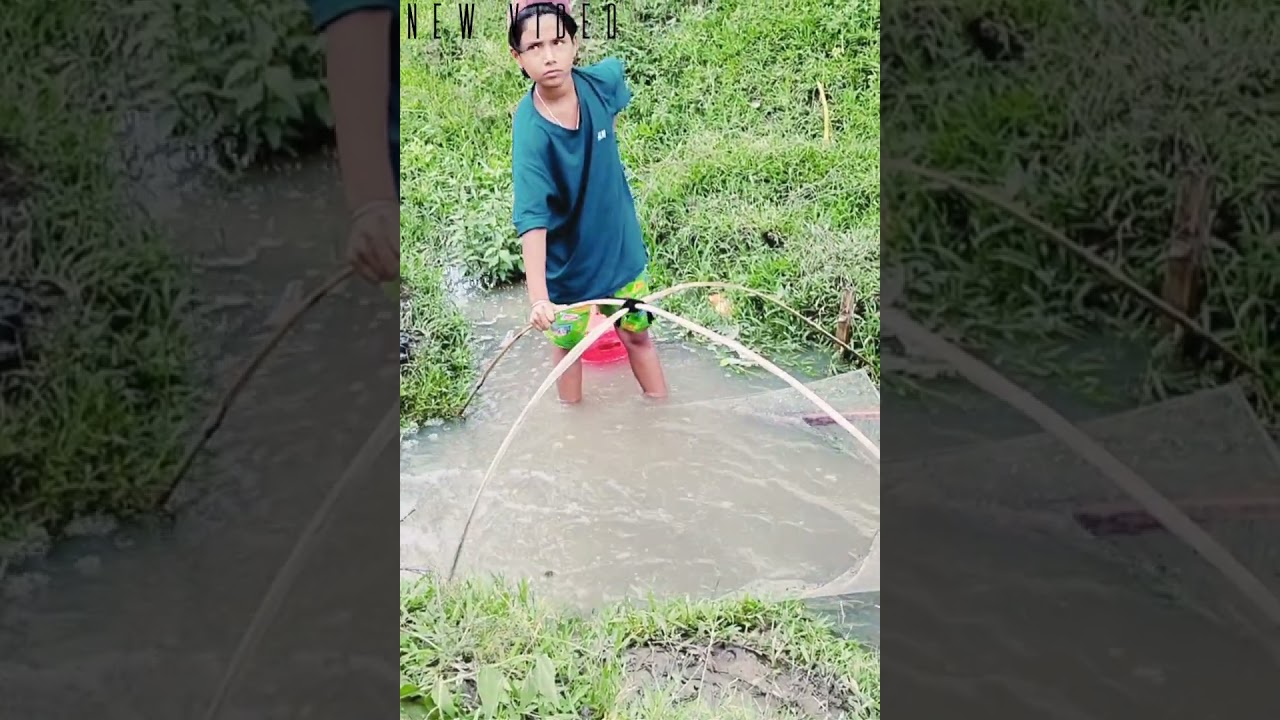 Nga phaba 🐟🦐 #villagelife #fishingvideo #natural