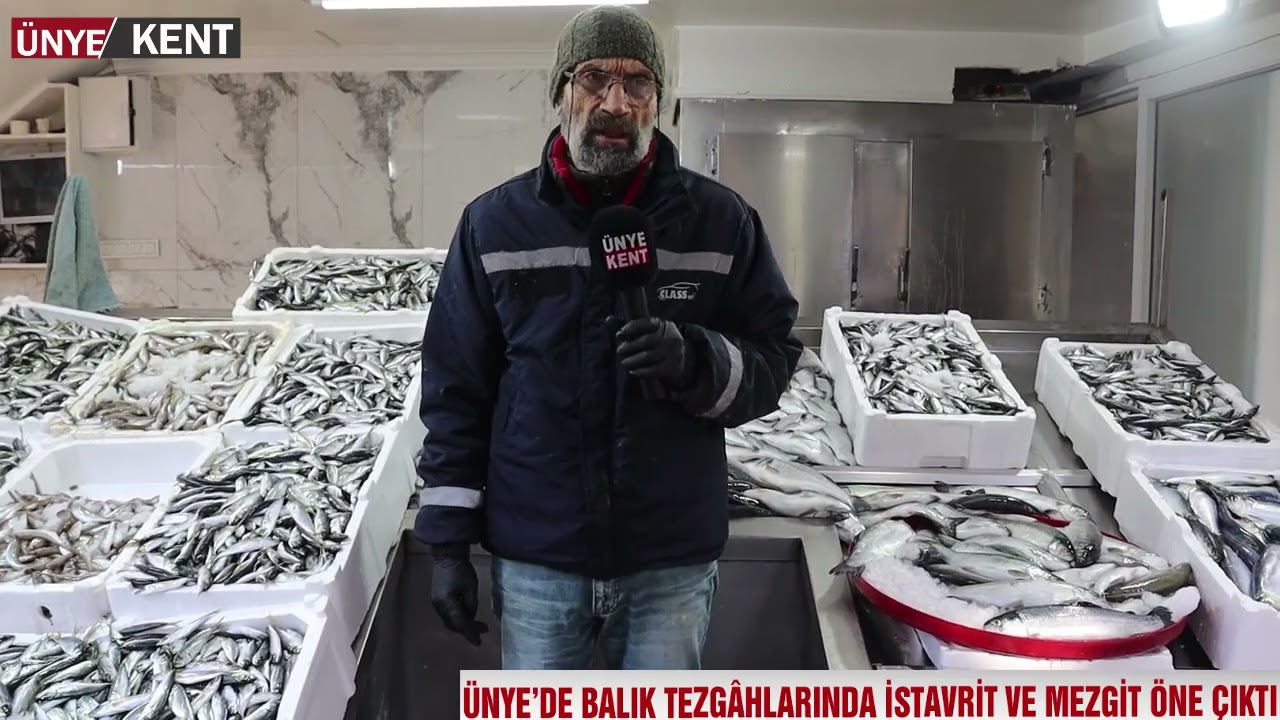 ÜNYE’DE BALIK TEZGÂHLARINDA İSTAVRİT VE MEZGİT ÖNE ÇIKTI