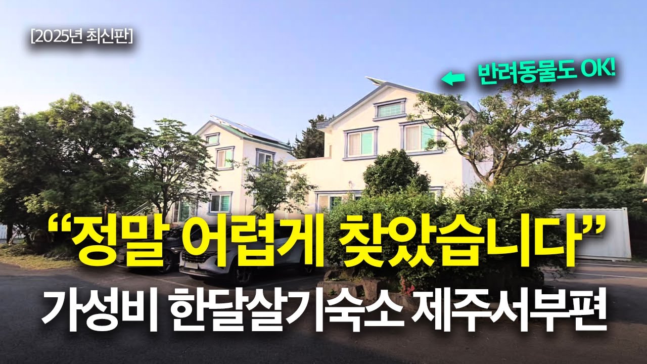 제주 서쪽 한달살기 숙소 추천🍃｜🐶반려동물 가능한 가성비 숙소 | 동쪽보다 비싸다구요? 이 숙소는 예외입니다