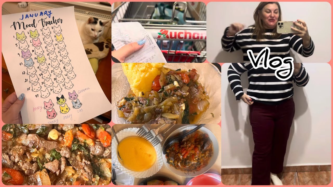 Vlog Mood tracker, cumpărături Auchan , ce gătesc și cum planific mesele