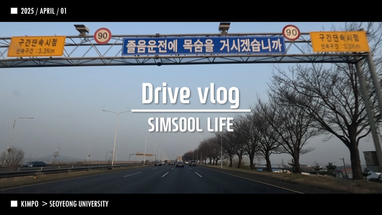 2025 0401 출근 Driver Vlog SIMSOOL 김포 자유로 파주 서영대