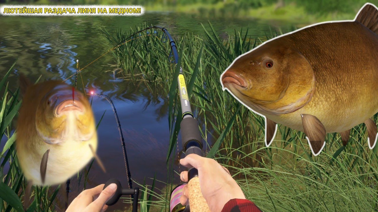 ЛЮТЕЙШАЯ РАЗДАЧА ЛИНЯ НА МЕДНОМ! СТОЛЬКО СЕРЕБРА Я УЖЕ ДАВНО НЕ ФАРМИЛ!