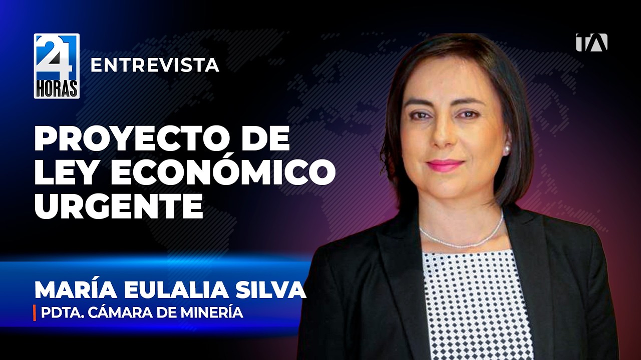 Existen infiltraciones de mineros ilegales en operaciones legales |Entrevista a María Eulalia Silva