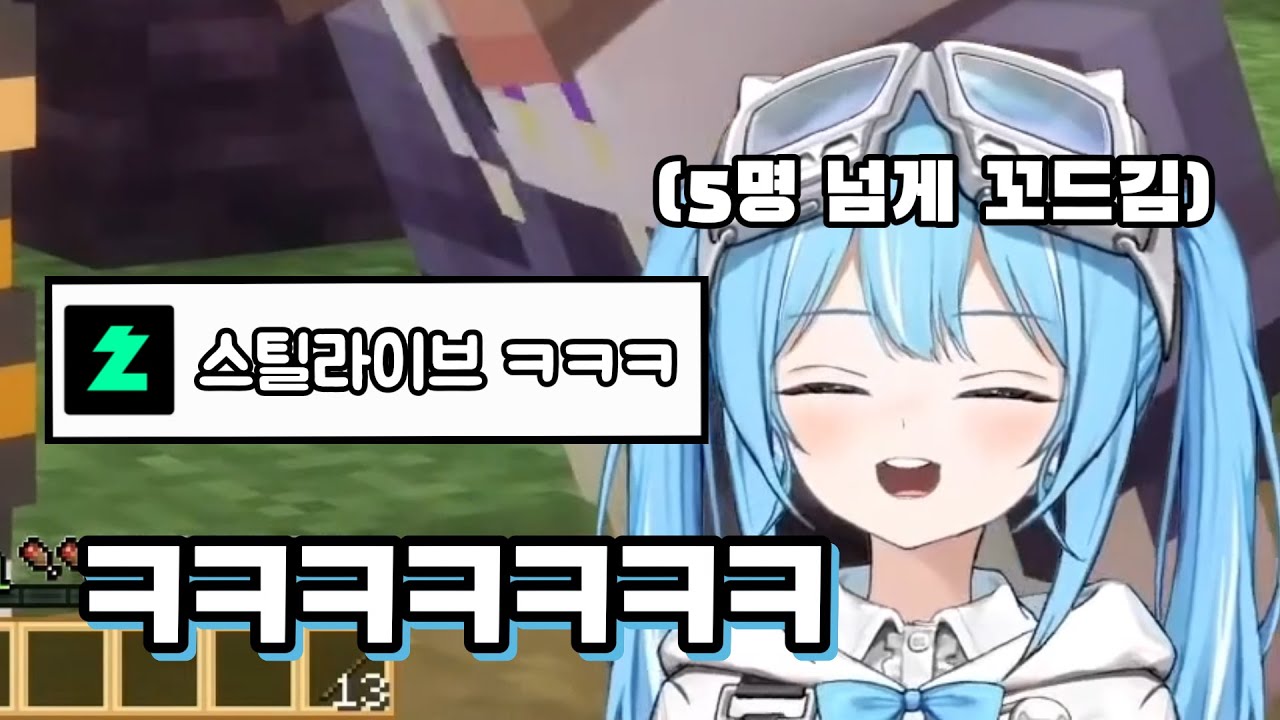 힐링 서버에서 도박 장사하는 타비 ㅋㅋㅋㅋㅋ
