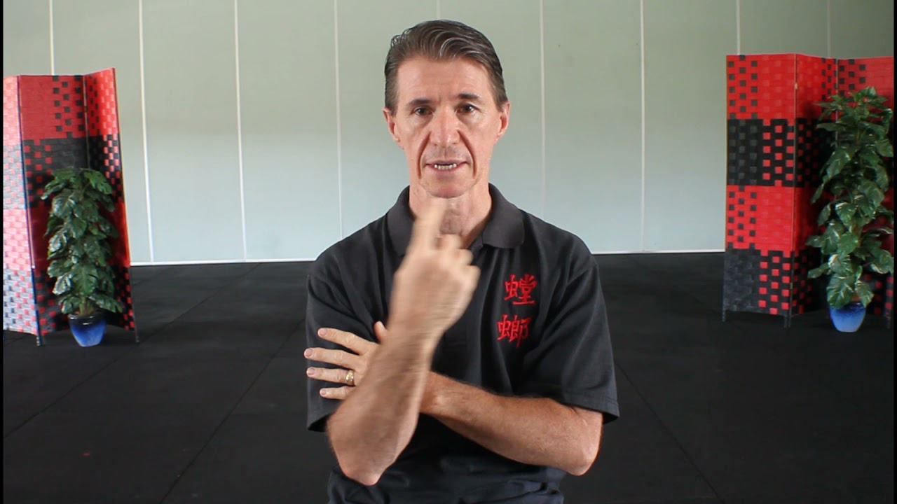 The Martial Morality of Henry Sue Circular Tong Long Kung Fu and Tai Chi