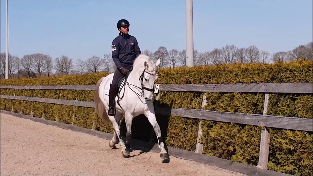Dressage2Learn cursus Rijbaan figuren & wijken. #voorwaarts tijdens het wijken. TRAILER