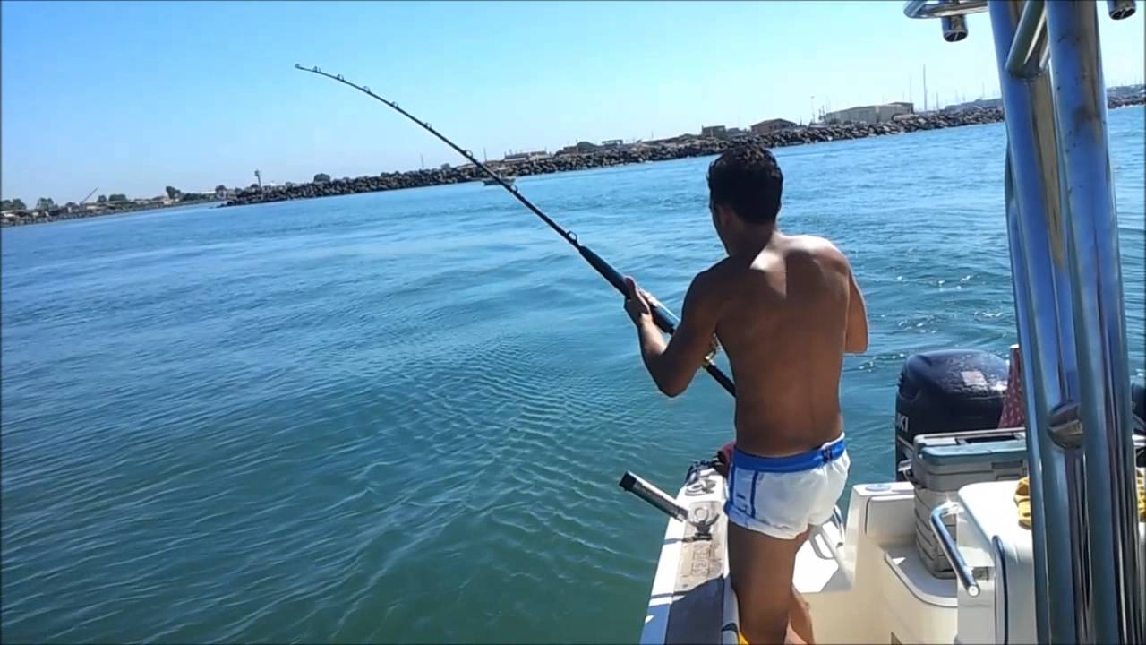 pesca ad ostia 3 spigole e 1 serra giganti