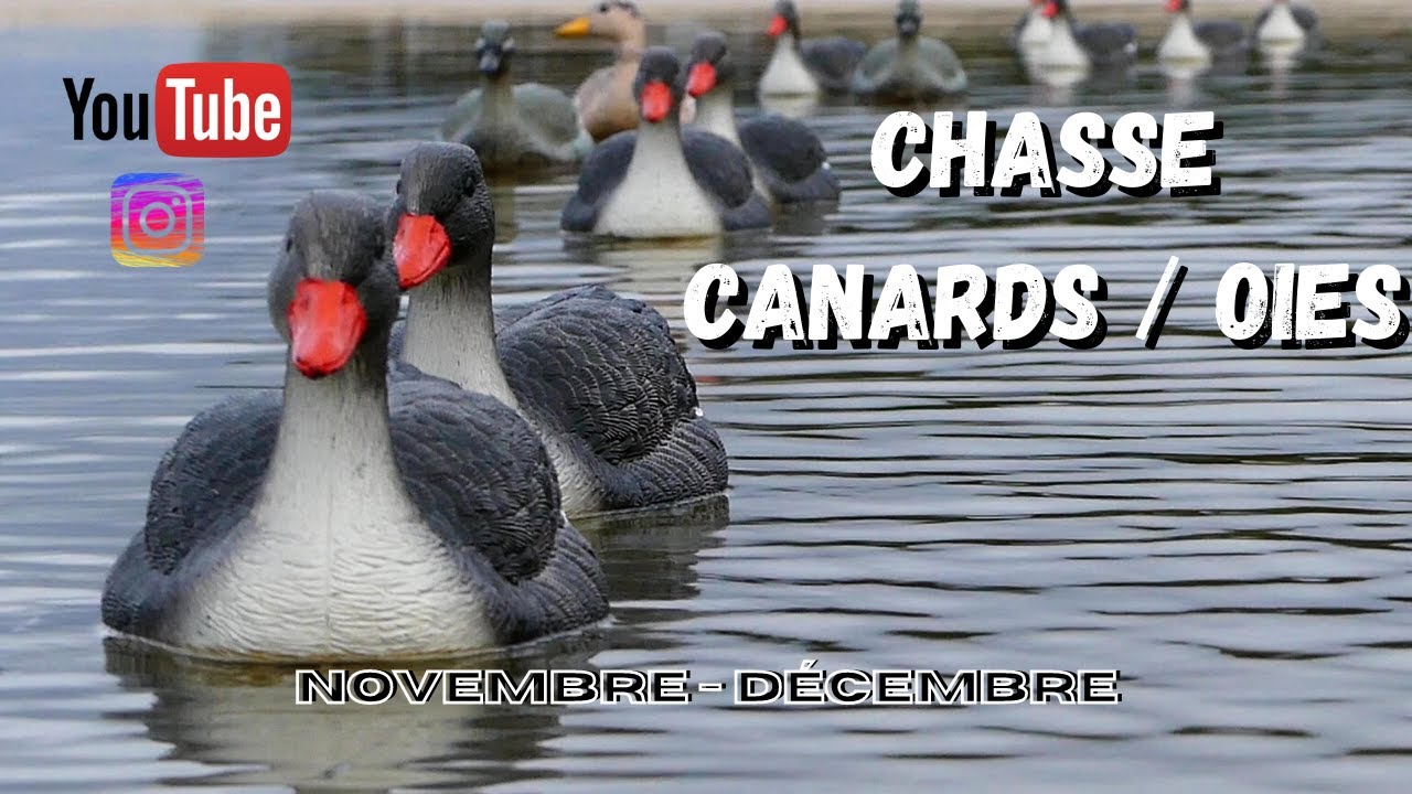 Chasse à la Tonne Lac de Sanguinet / Chasse et Pêche Téva