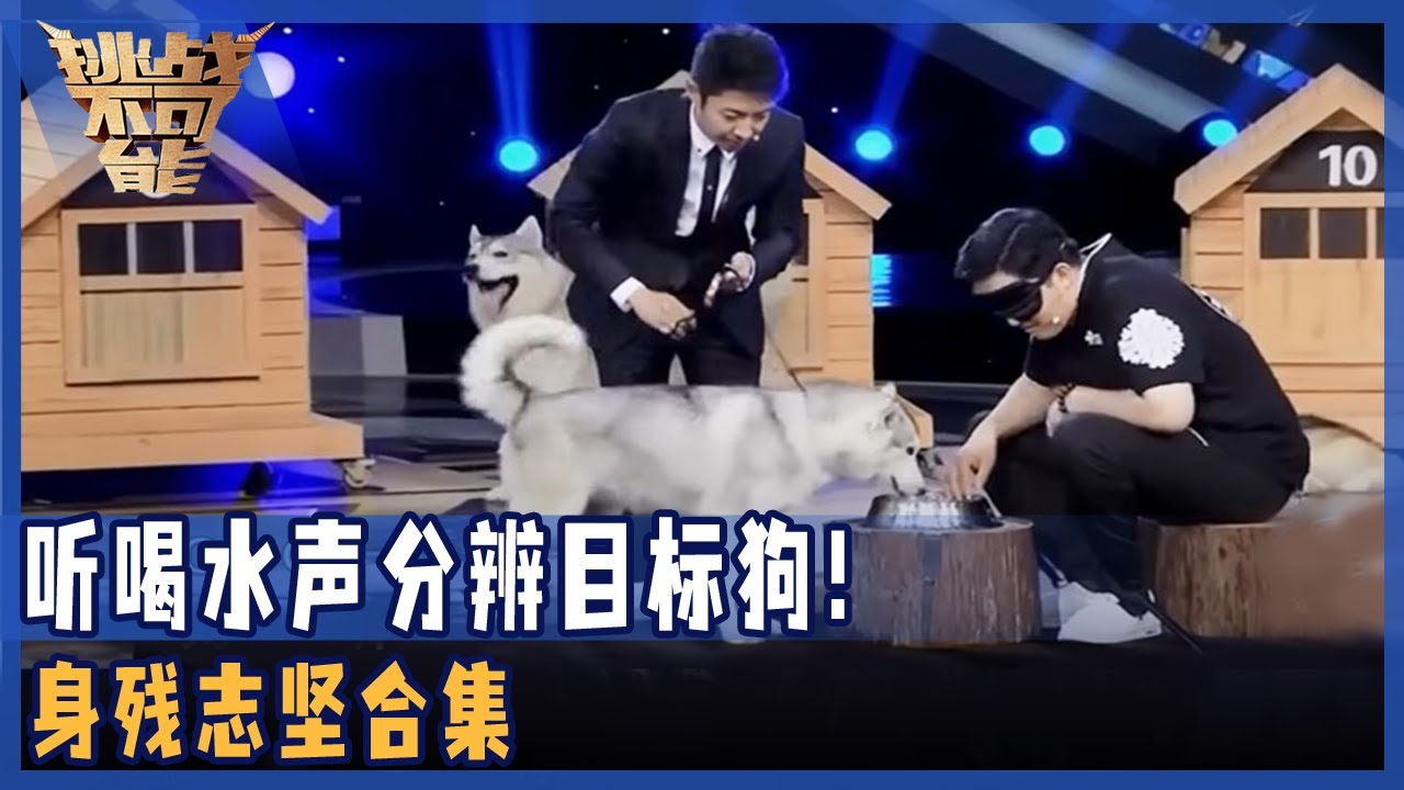 听15只狗喝水声 分辨目标狗！人体声呐探测极限挑战 看完的我惊掉下巴！——身残志坚合集 | 挑战不可能 Impossible Challenge